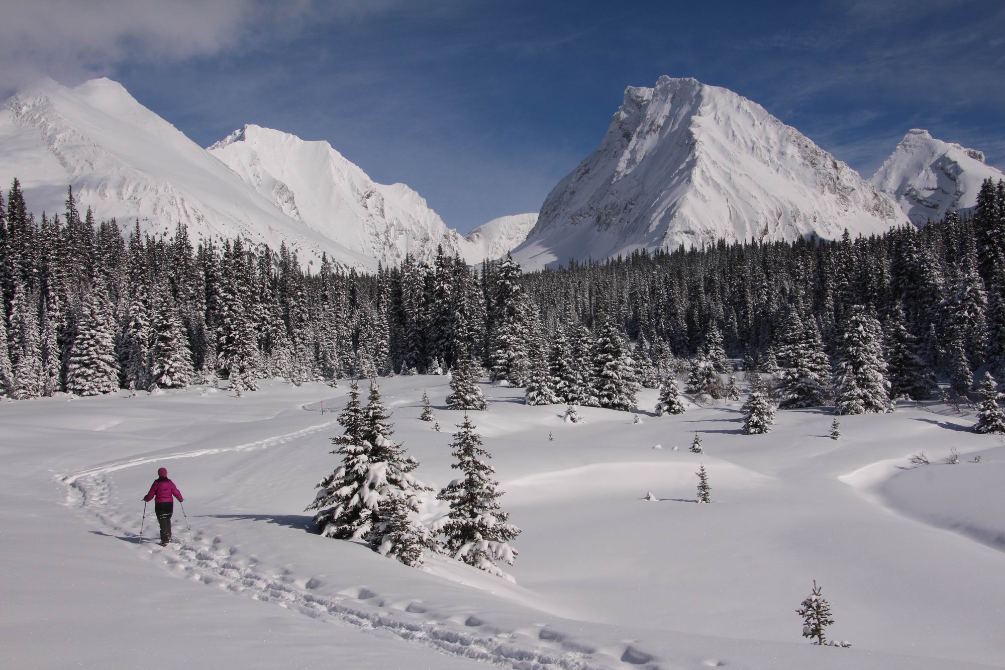 BEST SNOWSHOE TRAILS IN ALBERTA - Powder Paws Snowshoes
