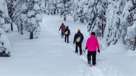 TOP SPOTS FOR SNOWSHOEING IN THE OKANAGAN - Powder Paws Snowshoes